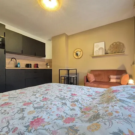 Camaïeu Hypercentre Parking Privé Apartamento Ruan