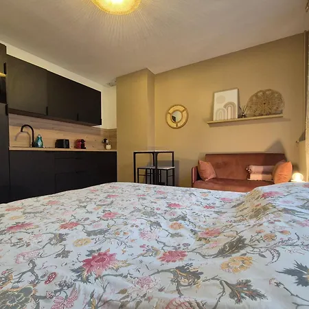 Apartamento Camaïeu Hypercentre Parking Privé Ruan