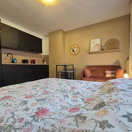 Apartamento Camaïeu Hypercentre Parking Privé Ruan